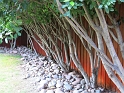 FenceProject_9-2014 (44)